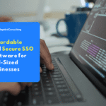 Dashboard view of Affordable and Secure SSO Software for Mid-Sized Businesses showing single authentication and employee access management.
