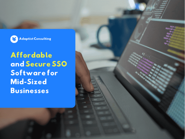 Dashboard view of Affordable and Secure SSO Software for Mid-Sized Businesses showing single authentication and employee access management.