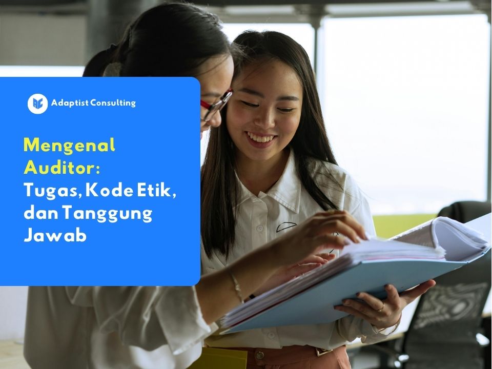 memahami apa itu auditor