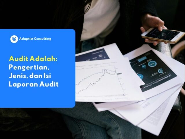 memahami audit adalah