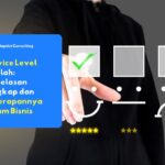 service level adalah