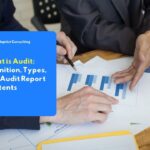 what is audit