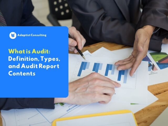 what is audit