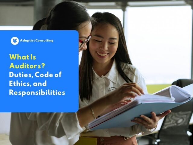 understanding what is auditor