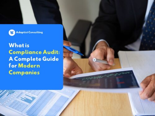 what is compliance audit