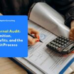 understanding what is external audit