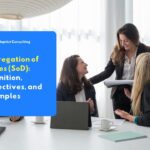 understanding what is segregation of duties