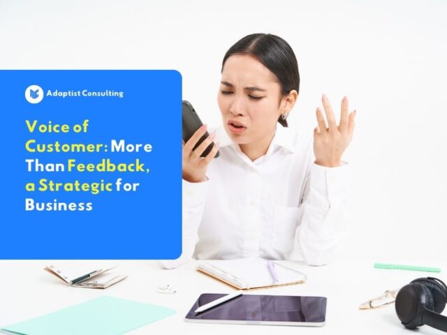 what is voice of customer