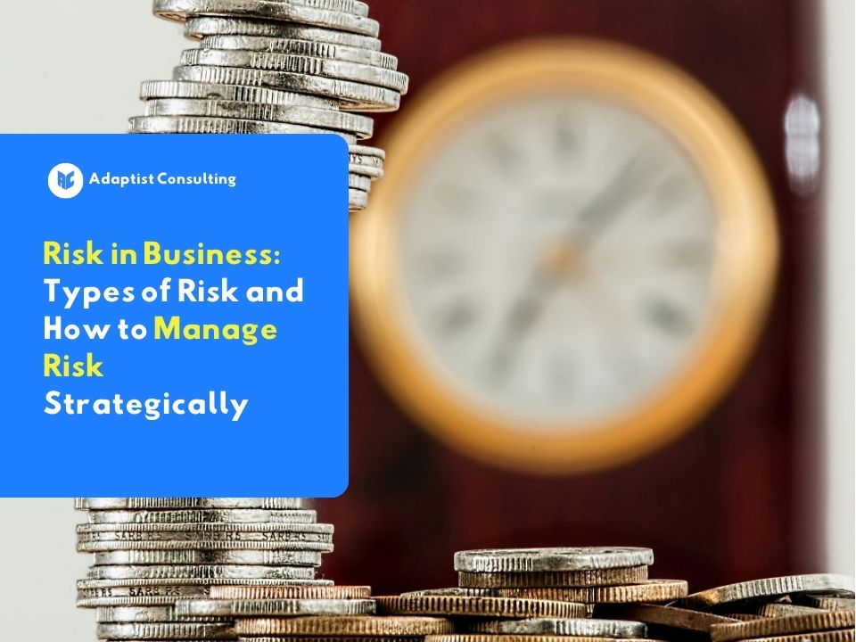 what is risk in business