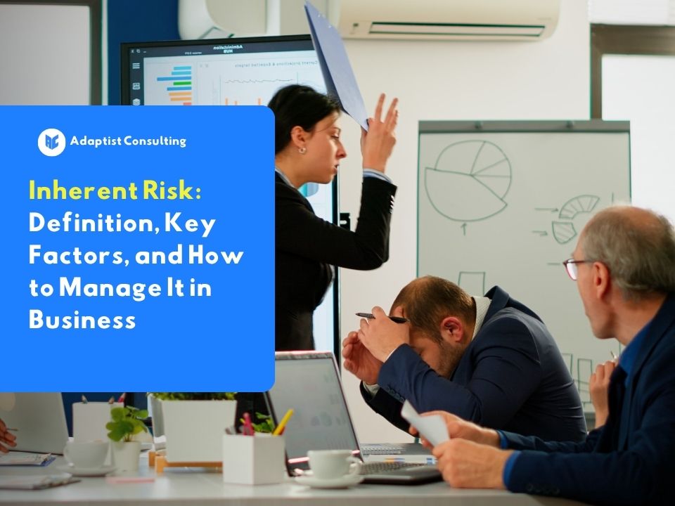 business team managing inherent risk in a corporate meeting room